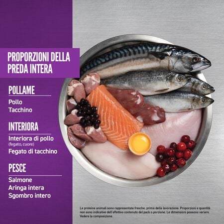 null - Product image 3.0